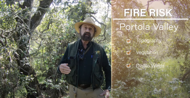 Moritz Screen Shot 2 comp